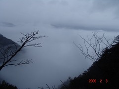 20066205559