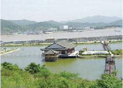 普陀区六横镇旅游区图片