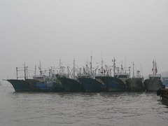 沈家门图片