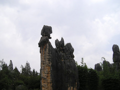 2006042415535331337