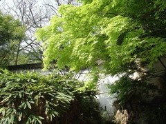 采石风景区图片