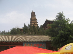 普救寺图片