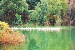 红叶谷生态文化旅游区图片