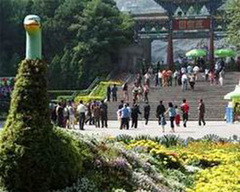 五泉山公园图片