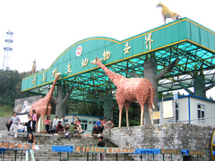 跑马岭旅游区图片