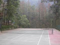 歌乐山森林公园图片