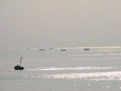 南戴河图片