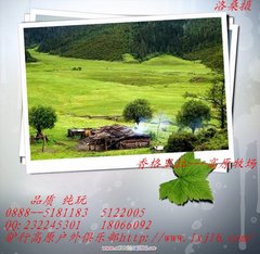 香格里拉高原风光