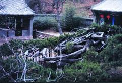 延寿寺