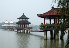 八里河图片