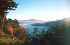 阿里山图片