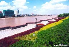 滨河公园 (公园)