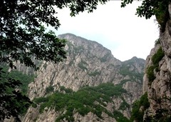 嵩山少林景区图片
