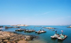 遮浪图片