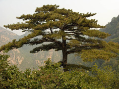 黄帝城图片