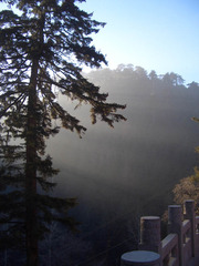 金阁山图片