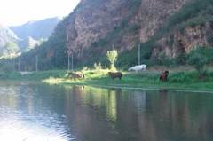 拒马河7