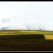 全景六