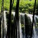 贵州赤水