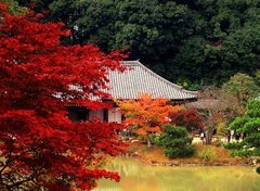 京都