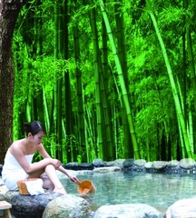 溧阳市天目湖南山竹海景区图片