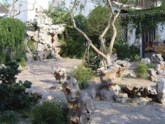 张厅图片