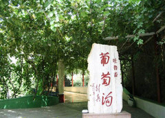 葡萄沟图片