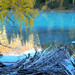 喀纳斯景区 新疆 阿勒泰 nEO_IMG_106416663 喀纳斯景区 新疆 阿勒泰 nEO_IMG_106416663