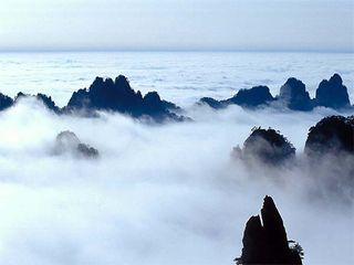 天海