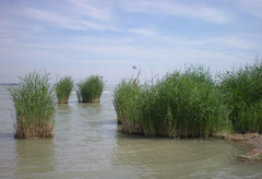 沙湖图片