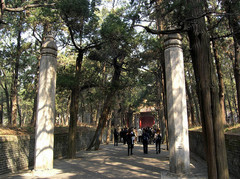 曲阜明故城（三孔）景区图片