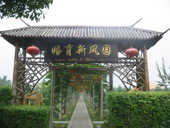 滕头生态旅游区图片