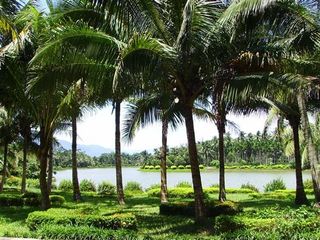 兴隆热带植物园
