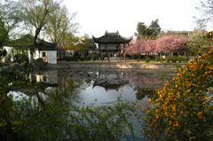 莫愁湖图片