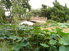 玄武湖公园08