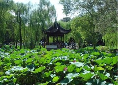 拙政园01湖亭
