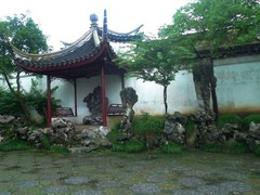 网师园12园中一景