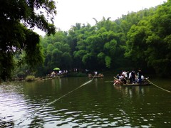 蜀南竹海图片