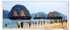下龙湾图片
