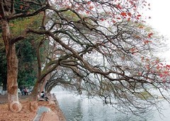 还剑湖图片