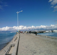 青海湖图片