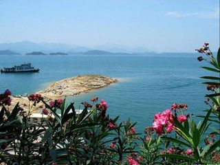 QA大组旅游活动开始投票啦~~ - Linsa.Liu - Fly to the Sky! 森林氧吧