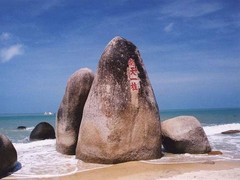 南天一柱