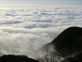 泰山