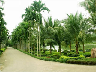 兴隆热带植物园