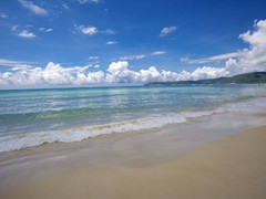 大东海9