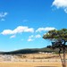 四川 九寨沟 甘海子
