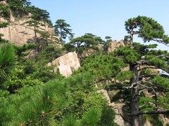 黄山图片