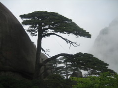 黄山