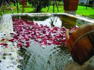 樱花温泉